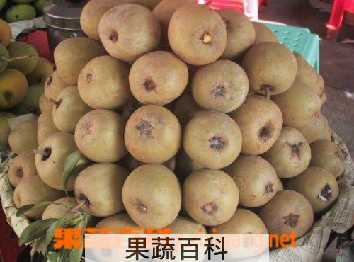 果蔬百科人心果怎么吃 人心果吃法技巧