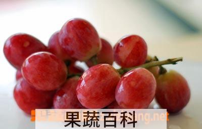果蔬百科红提