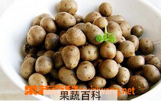 果蔬百科山药豆是什么