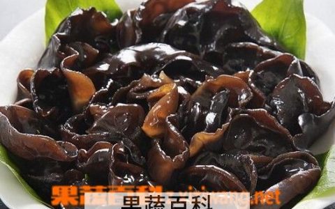 吃黑木耳的好处与坏处是什么 吃黑木耳的好处与坏处有哪些