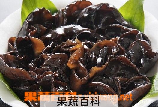 果蔬百科吃黑木耳的好处与坏处