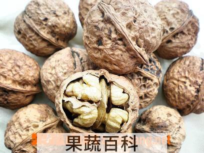 果蔬百科核桃果的功效与作用
