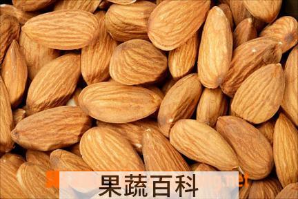 果蔬百科甜杏仁的功效与作用