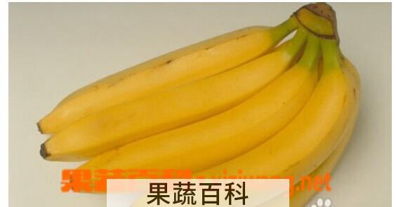 果蔬百科香蕉
