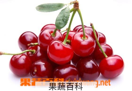 果蔬百科樱桃