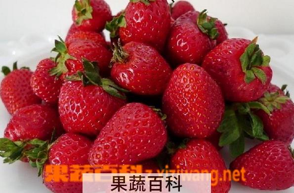 果蔬百科哪种草莓是人工催熟的
