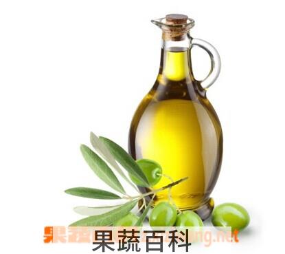 果蔬百科初榨橄榄油