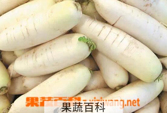 果蔬百科萝卜能治什么病