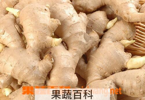 果蔬百科生姜能治常见病