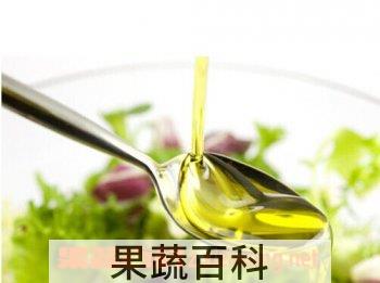 果蔬百科橄榄油
