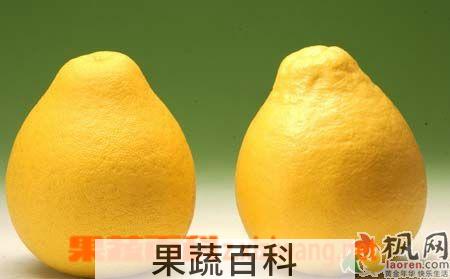 果蔬百科 吃柚子的好处和坏处