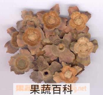 果蔬百科