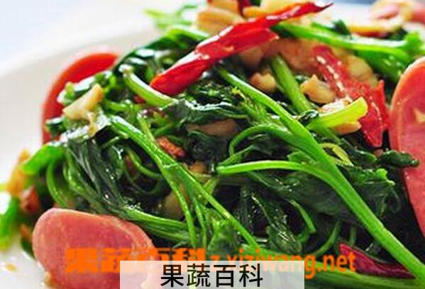 果蔬百科灰灰菜的营养价值