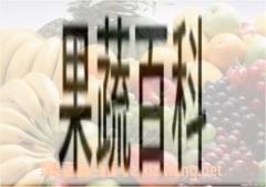 果蔬百科