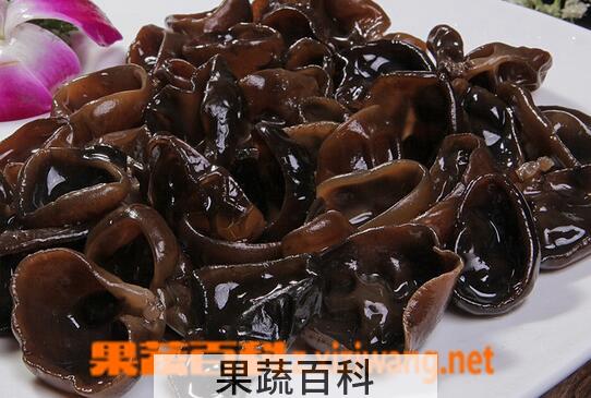 果蔬百科云耳的功效与作用