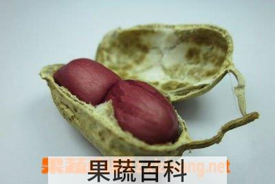 果蔬百科花生