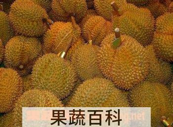 果蔬百科榴莲