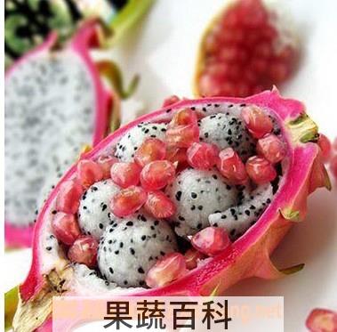 果蔬百科火龙果