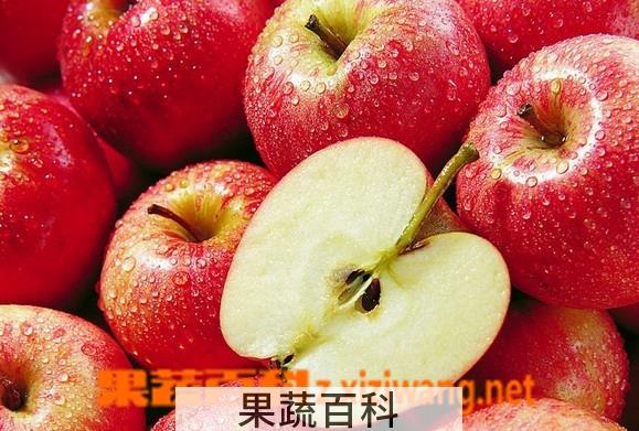 果蔬百科苹果