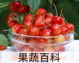 果蔬百科吃樱桃的好处和坏处