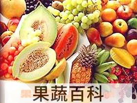 果蔬百科水果