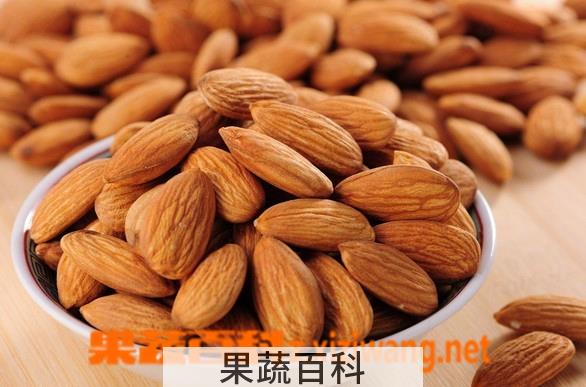 果蔬百科杏仁