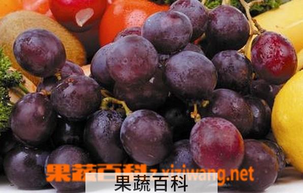 果蔬百科怎么识别葡萄是催熟的