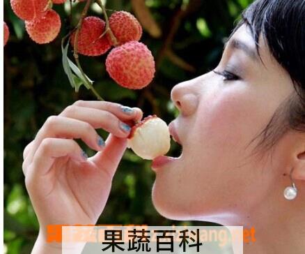 果蔬百科荔枝