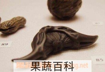 果蔬百科菱角