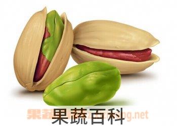 果蔬百科坚果