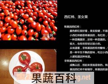 果蔬百科转基因食品