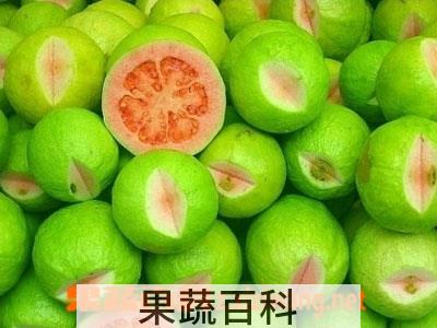 果蔬百科无花果