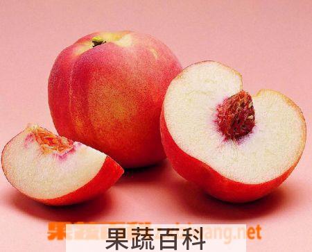 果蔬百科桃子