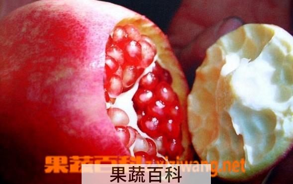 果蔬百科石榴