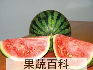果蔬百科西瓜