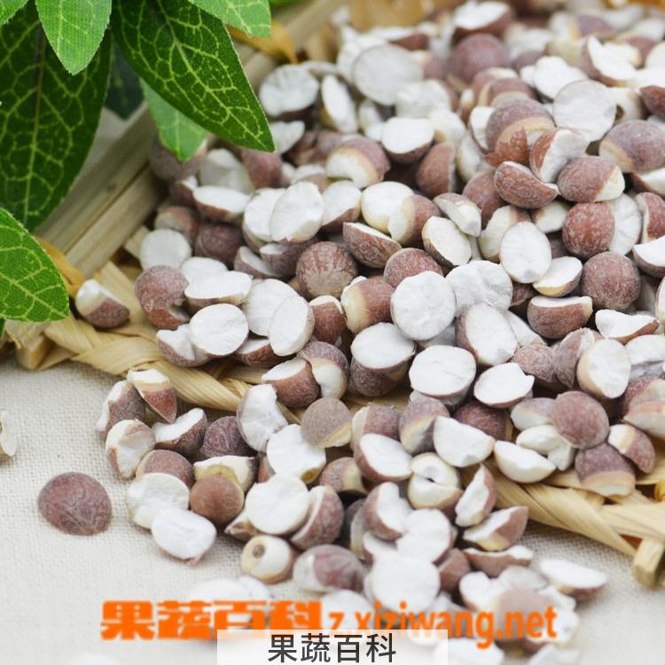 果蔬百科芡实片的功效与作用及食用方法