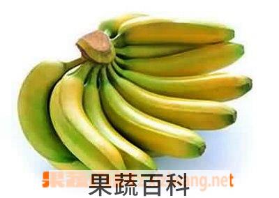 果蔬百科香蕉