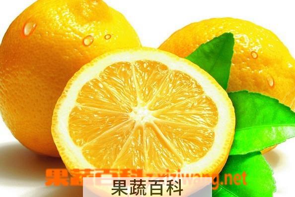 果蔬百科鲜柠檬怎么保存