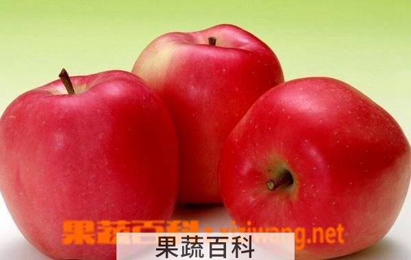 果蔬百科孕妇吃苹果