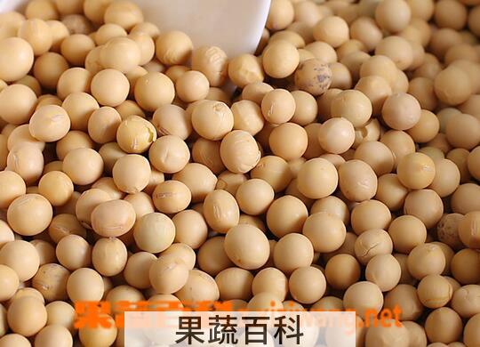 果蔬百科黄豆的功效与作用