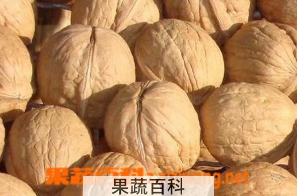 果蔬百科核桃