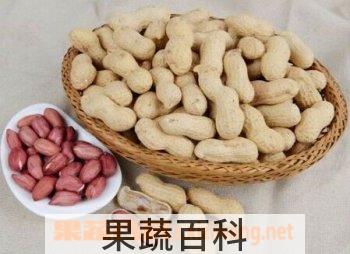 果蔬百科花生