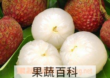 果蔬百科荔枝