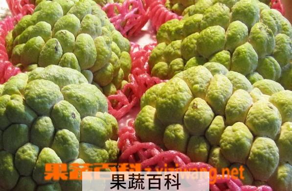 果蔬百科释迦果