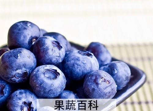 果蔬百科蓝莓怎么吃最有营养 蓝莓吃法技巧