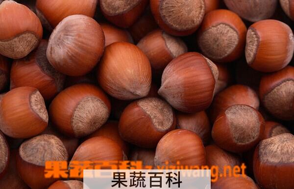 果蔬百科板栗