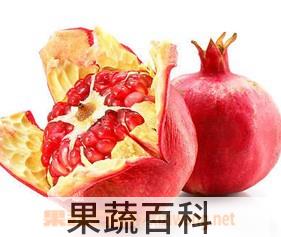 果蔬百科 石榴皮的药用价值