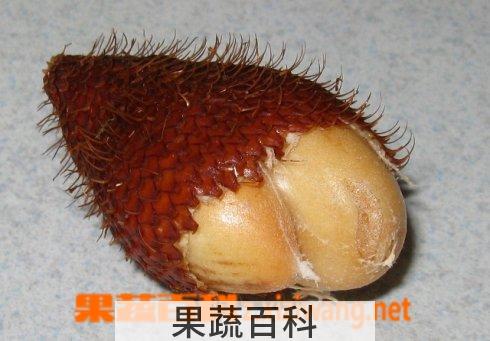 果蔬百科 蛇皮果怎么吃图解