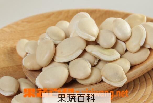 果蔬百科什么人不能吃白扁豆