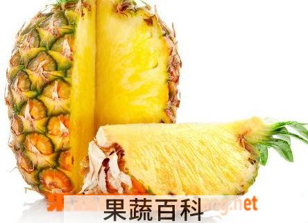 果蔬百科菠萝削皮后怎么保存 菠萝怎么吃